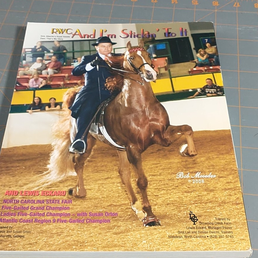 Saddle & Bridle magazine - Picture 2 of 9
